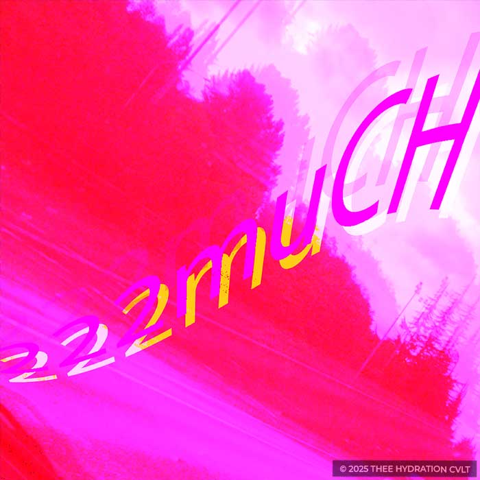 song artwork created for the SPIRITSHRINE release 222much