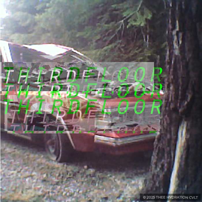 song artwork created for the SPIRITSHRINE release thirdfl00r