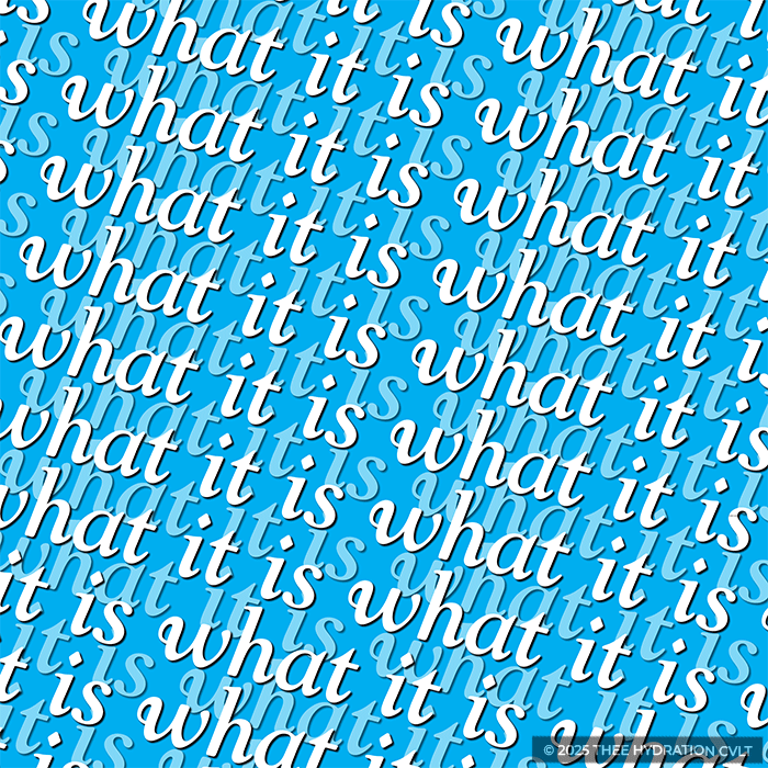 it is what it is by m.purtlebaugh