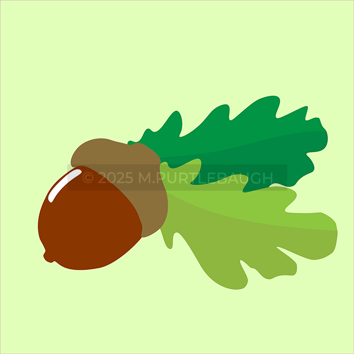 acorn logo by m.purtlebaugh